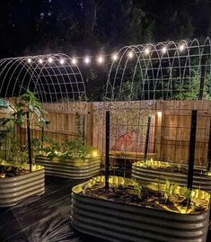 several raised garden beds with plants and lights on them at night in a backyard setting