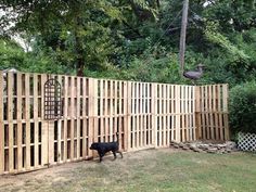 a black dog standing next to a wooden fence in a yard with trees and bushes behind it