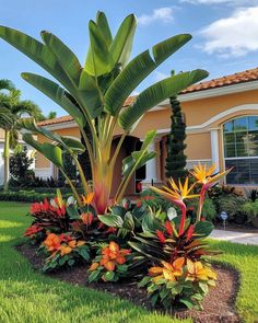 a tropical garden in front of a house