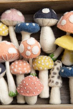 a box filled with lots of different colored mushrooms on top of each other and one small mushroom in the middle