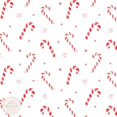 christmas candy canes and stars on white background