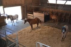 three horses in a barn with hay on the floor