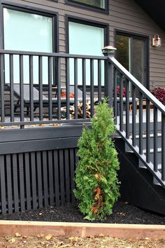 there is a small tree next to the stairs in front of a house with black railings