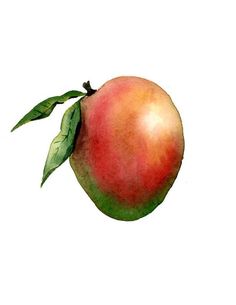 a watercolor painting of an apple with green leaves