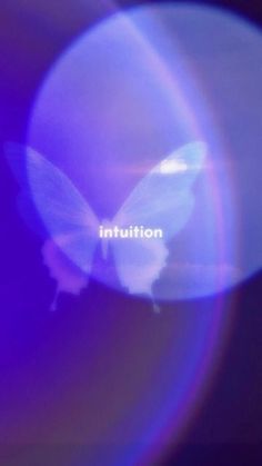 a blurry image of a butterfly with the word institution in it's center