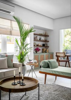 a living room filled with furniture and a plant in the middle of it's center table