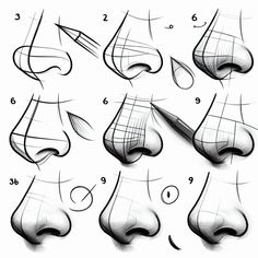 the steps to draw nose shapes in adobe and photoshopped with some pencils