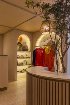 a tree in the middle of a store with clothes on display and other items behind it