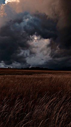 the sky is filled with dark clouds and brown grass