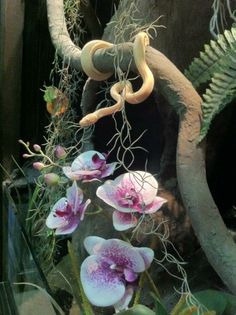 some flowers and plants in a glass case