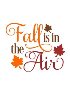 fall is in the air with leaves