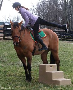 How to Mount and Dismount a Horse How To Ride A Horse, Horse English, Ride A Horse, Horse Riding Tips, Horseback Rider