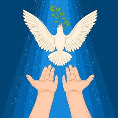 two hands reaching for a white dove with an olive branch in its beak, against a blue background