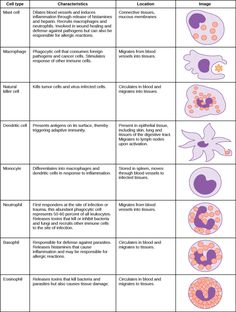 an image of different types of flowers and their names in the text below it, which includes