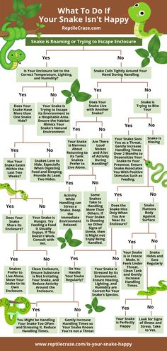 the snake life cycle is shown in this graphic diagram, which shows how many different snakes can