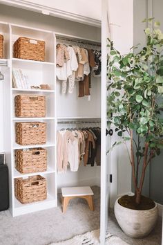 a white closet with baskets and clothes hanging on the wall next to a potted plant