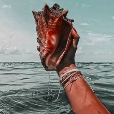 a person is holding an open shell in the water with their hand out to the ocean