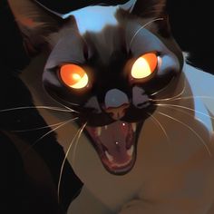 a black and white cat with orange eyes has its mouth open to reveal an evil look