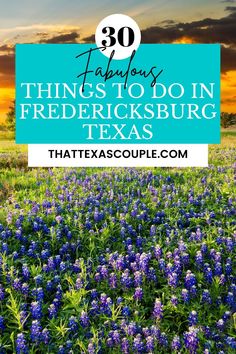 blue flowers with the words, things to do in frecksburg texas