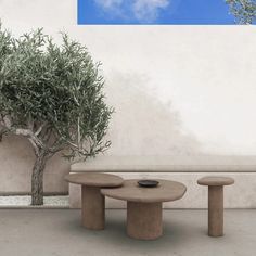 two benches and a tree in front of a wall with a blue sky behind them