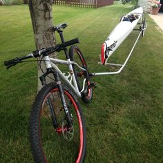 a bicycle parked next to a tree in the grass