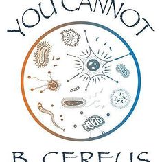 the logo for loucammot b cereius