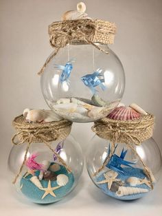 three glass vases filled with different types of seashells and starfishes