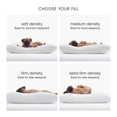 four images show how to choose the right pillow for your dog's sleep position