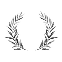 a black and white drawing of an olive branch with leaves in the shape of a wreath