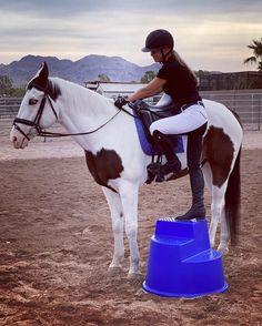 a woman riding on the back of a brown and white horse next to a blue bucket