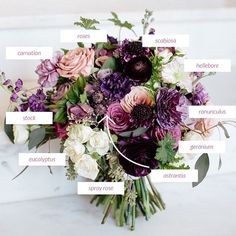 an arrangement of flowers labeled in the names of each flower species on a white surface