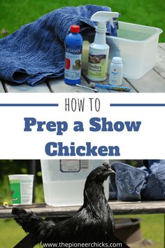 how to prep a show chicken in the back yard with cleaning products and other items