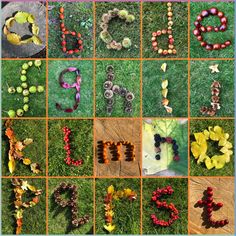 the letters are made out of different types of leaves and flowers, all in various colors