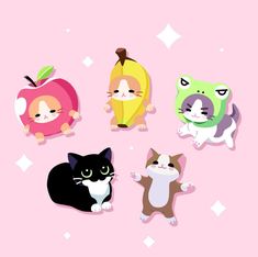 four cats and an apple on a pink background