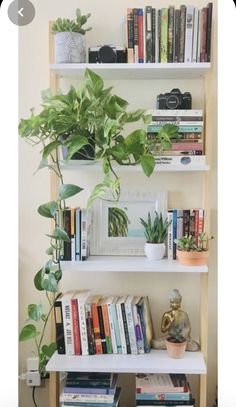 a bookshelf filled with lots of books next to a potted green plant