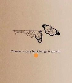 an image of a book with butterflies on it and the words change is scary but change is growth