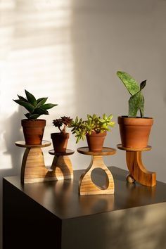 three potted plants sit on top of a table