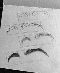 several different types of hair drawn on paper