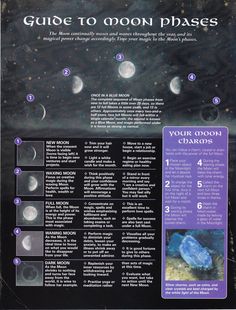 Sweet little Lunar cycle guide and how you can maximize the potential energy of each moon phase. The Moon Phases, Witches Broom, Tarot Significado, Witchy Tips, Broom Closet, Baby Witch, Mind Body Spirit