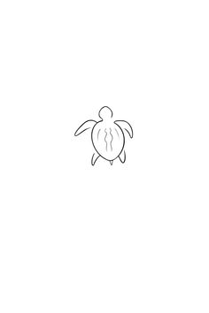 a black and white drawing of a turtle