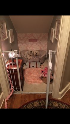 two dogs are sitting in their kennels at the end of the stairs,