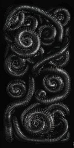 black and white photograph of spirals in the shape of an abstract pattern on a black background