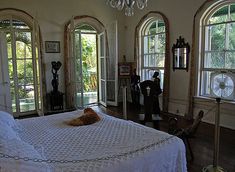 an orange cat laying on top of a bed in a room with lots of windows