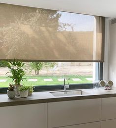 a kitchen with a sink, window and potted plant on the counter top in front of it