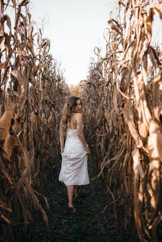 a woman in a white dress walking through a corn field