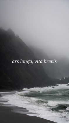 an image of the ocean and mountains in the background with words above it that reads, ars longa, vita brevis