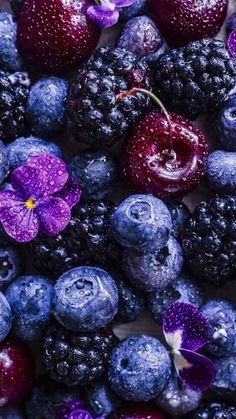 blueberries, raspberries and other berries with purple flowers