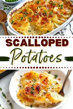 this is an image of scalloped potatoes