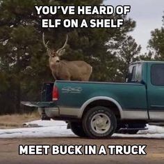 there is a truck with a deer on it's bed and the words you've heard of elf on a shelf meet buck in a truck