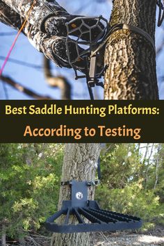 the best saddled hunting platforms according to testing and safety tips for deer blinders